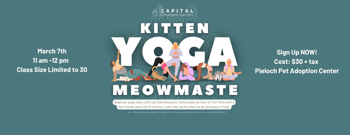 MEOWmatse Kitten Yoga August 26, 2026